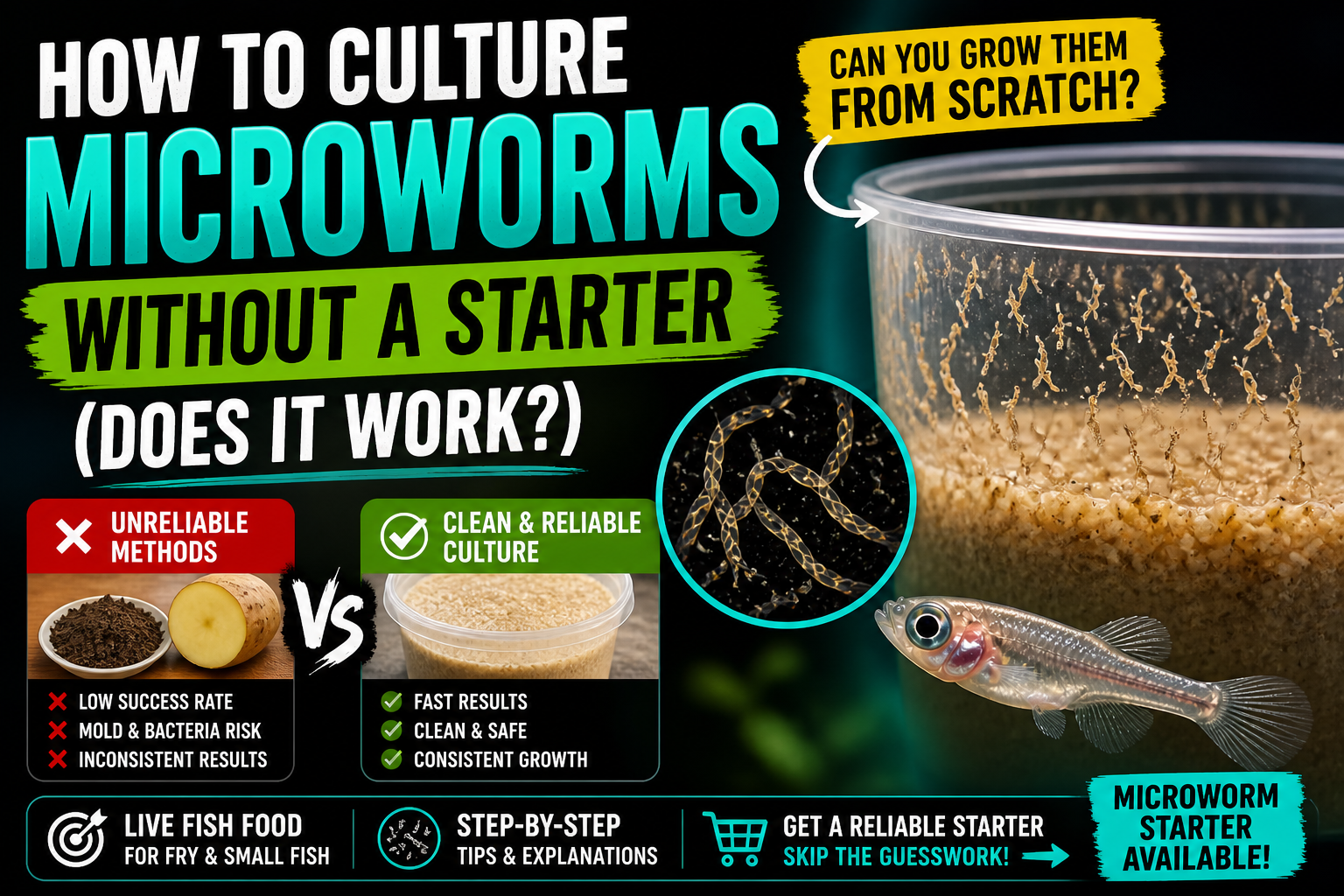 Microworm culture without starter in plastic container showing live fish food for fry, comparison of unreliable methods vs clean microworm culture for aquarium breeding