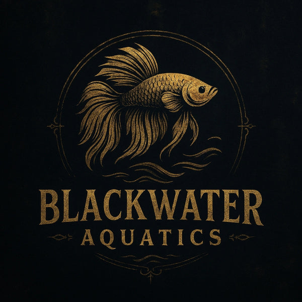 Blackwater Aquatics