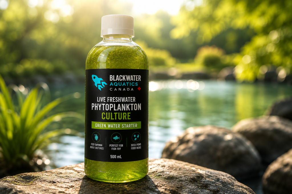 Live Freshwater Phytoplankton Culture (Green Water Starter) for Ponds, Aquariums & Fish Fry